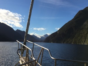 Cruising Fiordland